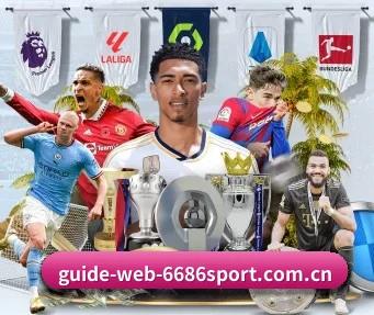 m.guide-web-6686sport.com.cn APP
